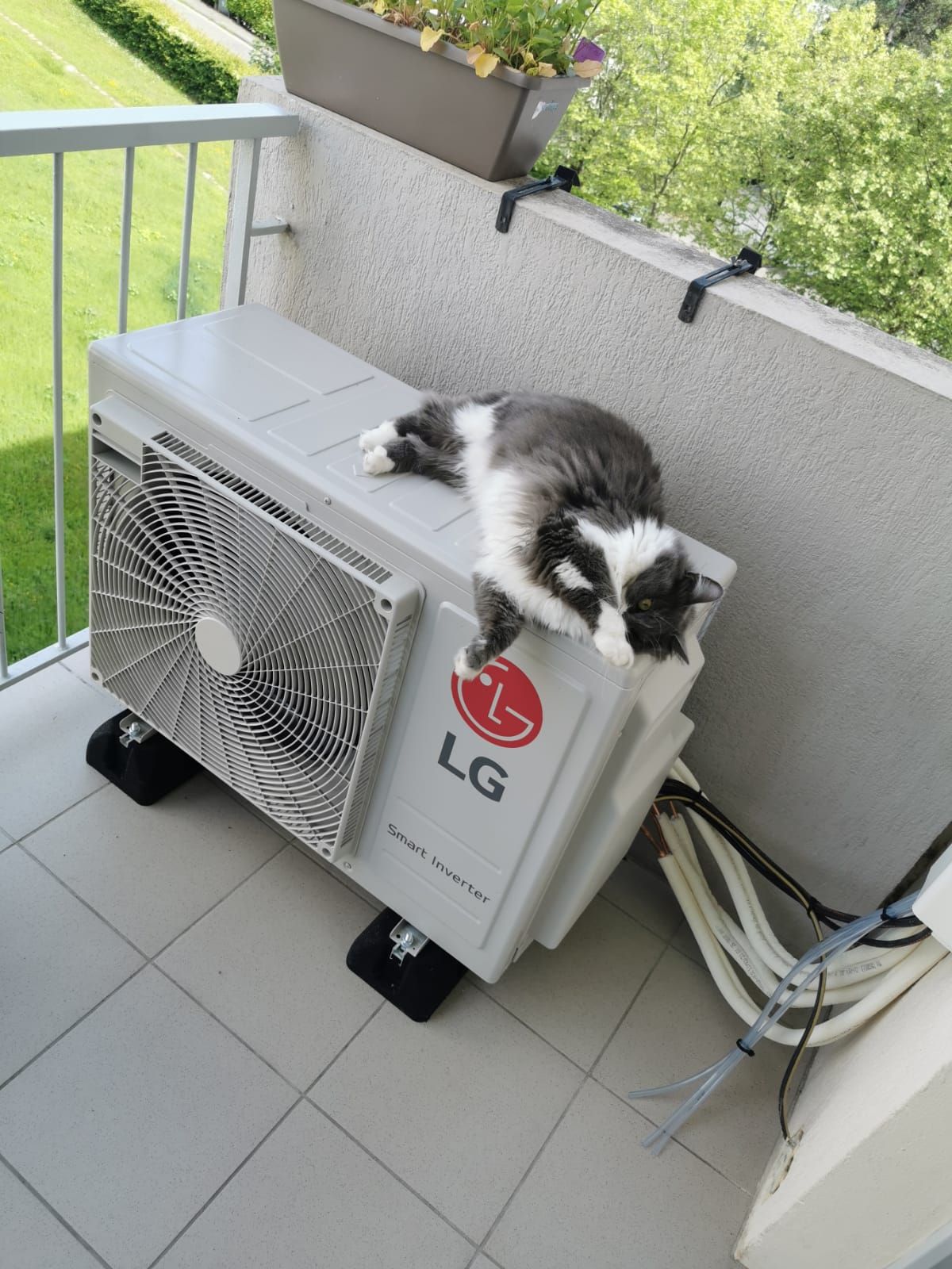 Unité extérieure de climatisation posée sur plots sur un balcon, un chat couché sur le dessus