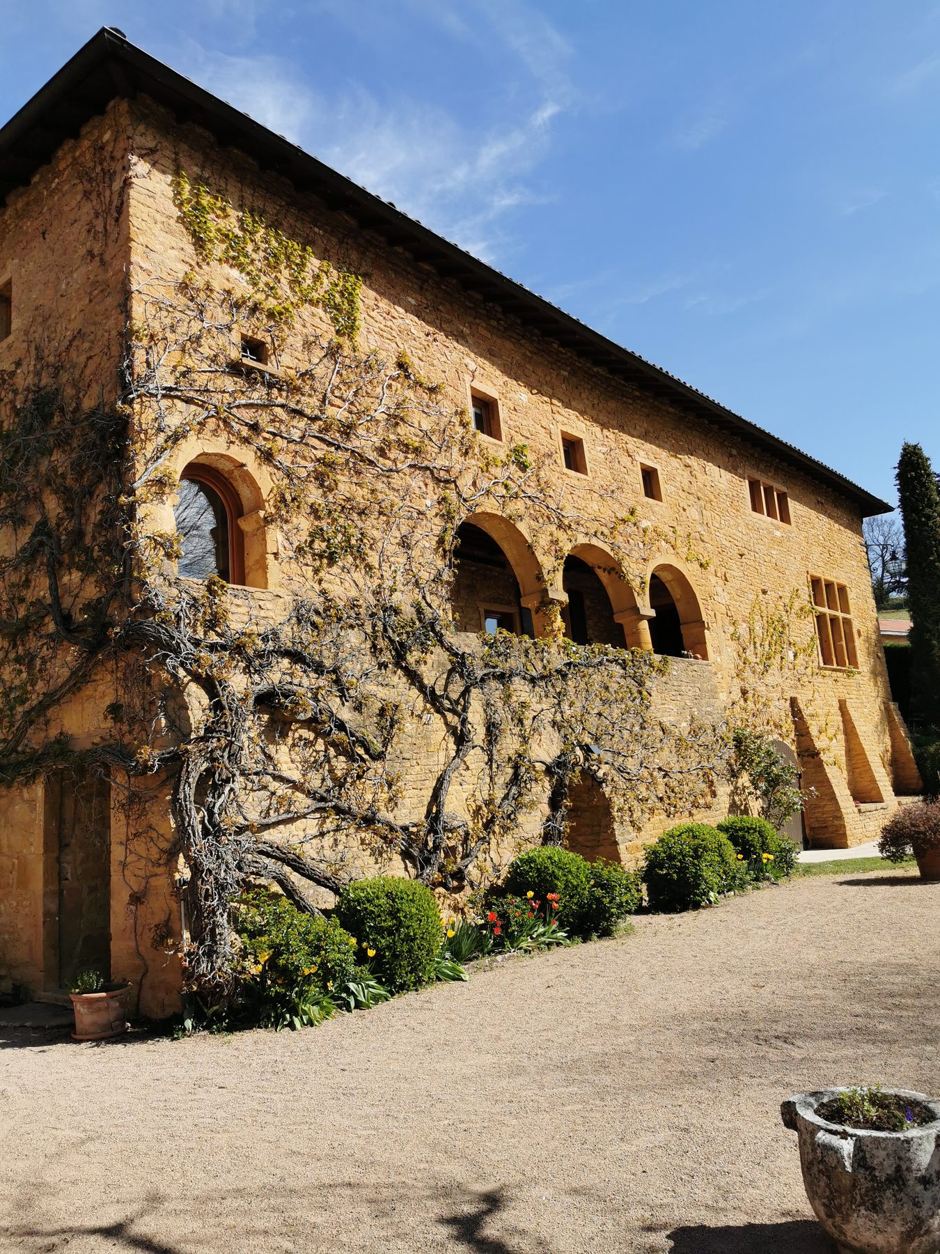 Bâtisse en pierres dorées couverte de glycine, avec fenêtres cintrées et petites fenêtres carrées