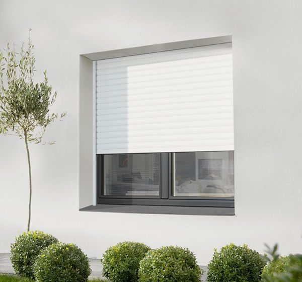 Volet roulant blanc à demi baissé sur une fenêtre de façade contemporaine, à côté d'un jeune olivier