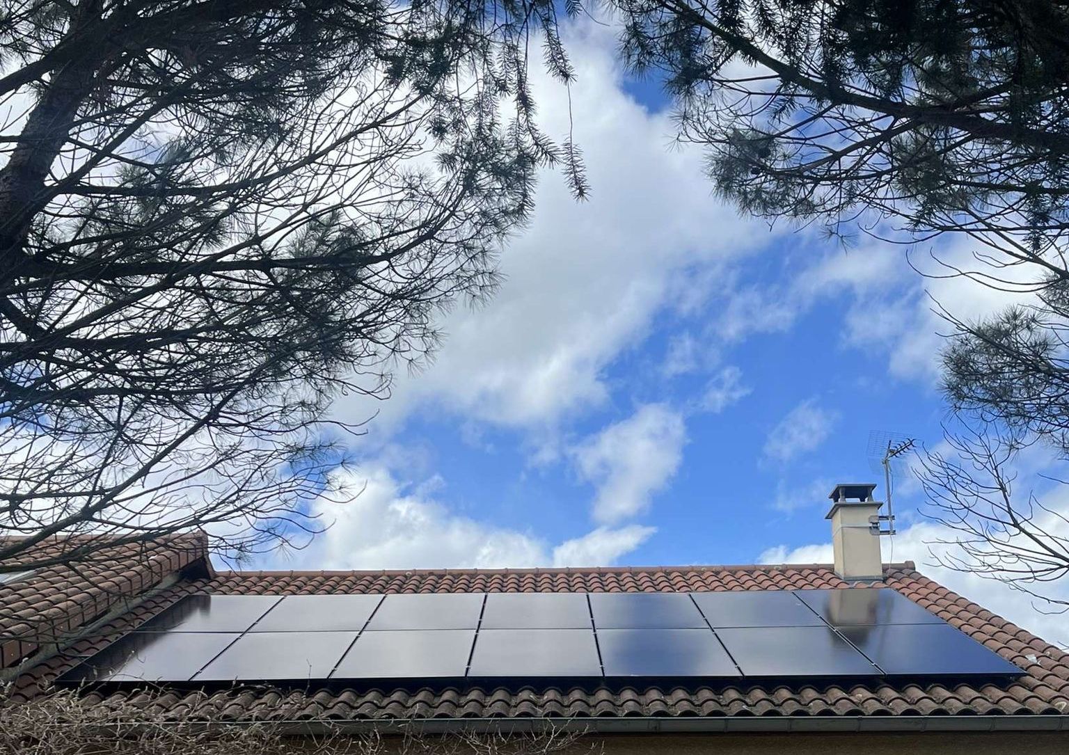 Rangée de panneaux photovoltaïques noirs sur le toit d'une maison, encadrée par des branches de pins
