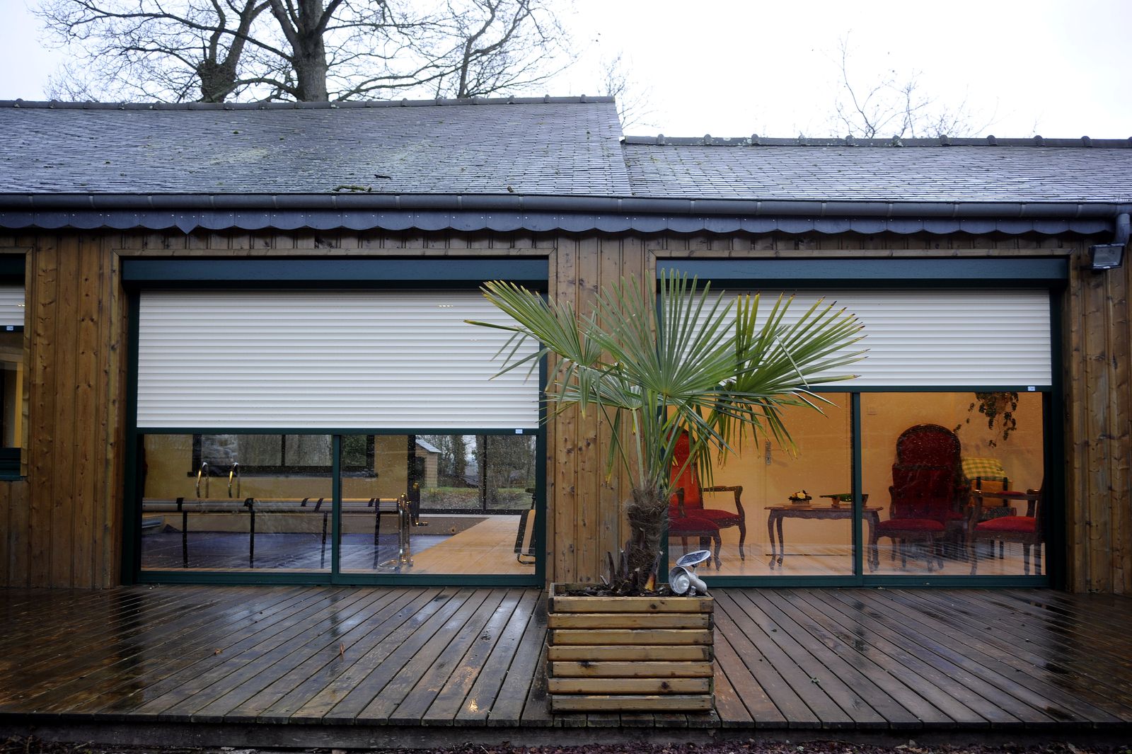 Maison à bardage bois avec volets roulants blancs à mi-hauteur sur deux grandes baies, terrasse en bois et palmier